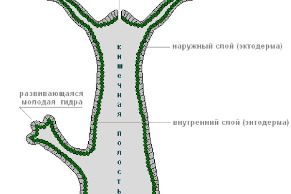 Купить гашиш в москве