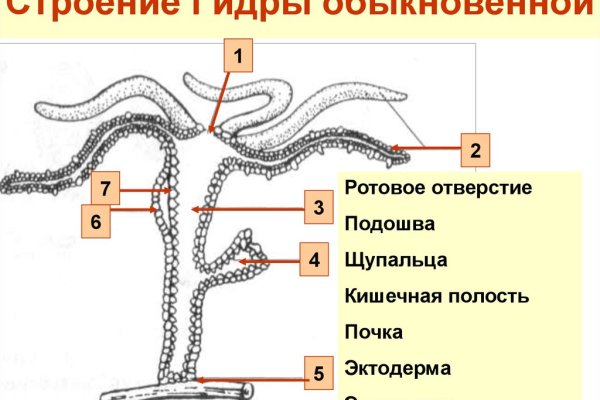 Как загрузить фото в диспут тор блэкспрут