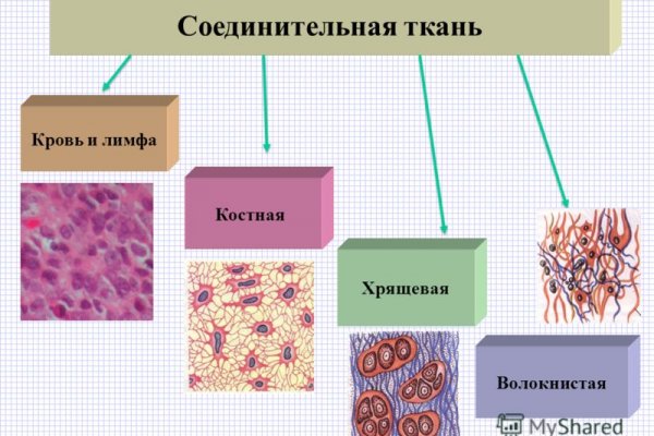 Вход в мегу